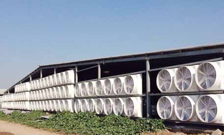 濟寧玻璃鋼風機 濟寧玻璃鋼風機